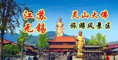 日本护士尿尿江苏无锡灵山大佛旅游风景区